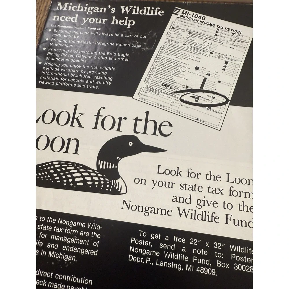 Fifty Favourite Birds Colouring Book Look For The Loon Bird Life Oriole Poster